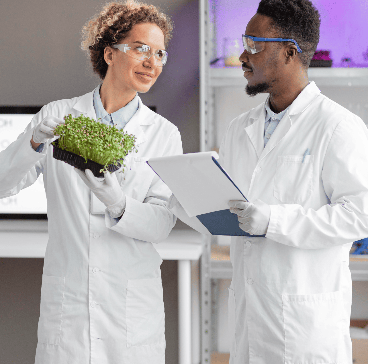 Plataformas biotecnológicas Bispora: IBIVA™, Protein 5C™ e D-PISTA™ integradas para sustentabilidade industrial