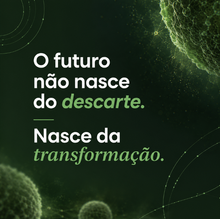O novo site da Bispora está no ar