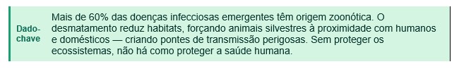 imagem2.jpg