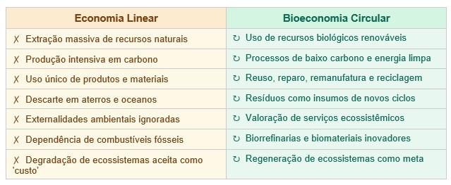 imagem 3.jpg