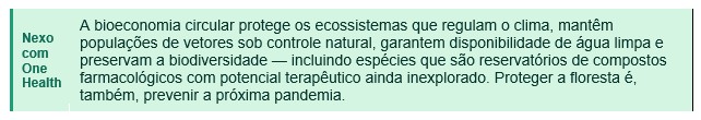 imagem 4.jpg